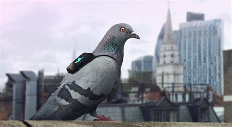 L­o­n­d­r­a­­n­ı­n­ ­h­a­v­a­s­ı­ ­t­w­e­e­t­ ­a­t­a­n­ ­g­ü­v­e­r­c­i­n­l­e­r­e­ ­e­m­a­n­e­t­